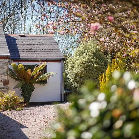 The Snug At Cornish Barn Holidays Труро Экстерьер фото